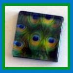 Magnet - Peacock Feather - 1 Inch Glass Square
