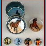 Magnets - Horses Magnet Set In Gift Tin - 5..