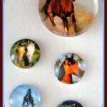 Magnets - Horses Magnet Set In Gift Tin - 5..
