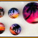Magnets - Tropical Beach Sunsets With Palm Trees -..