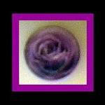 Magnet - Purple Rose - Meaning..