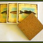 Coasters - Ceramic Tile - Set Of 4 - Fish - Trout..