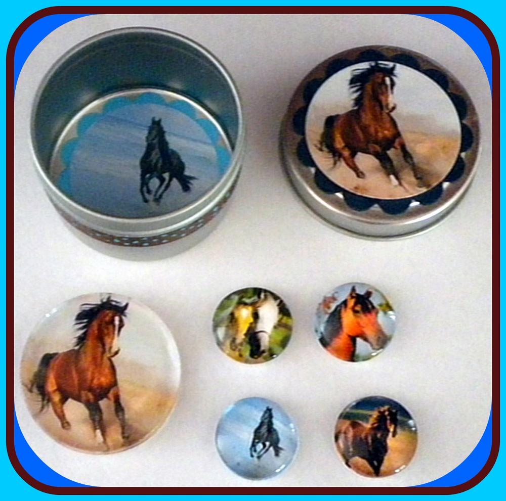 Magnets - Horses Magnet Set In Gift Tin - 5 Magnets