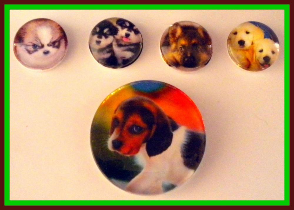Magnets - Dog Magnet Set In Gift Tin - 5 Magnets